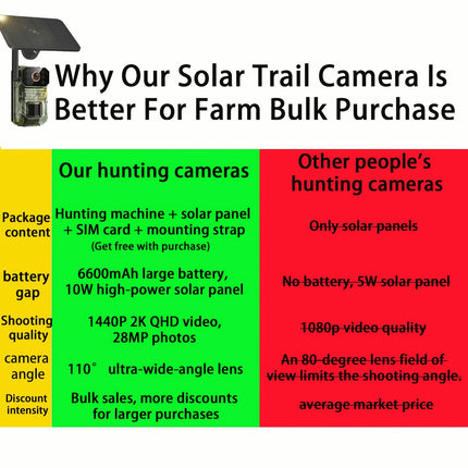 Trail Hunting Security Camera view 4